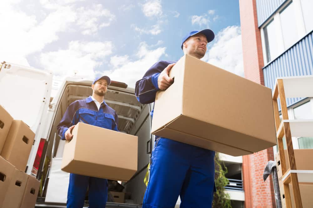 Professional moving company loading boxes into a truck for local or long-distance move in Long Island, NY