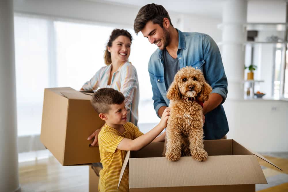 family with moving boxes with pet dog