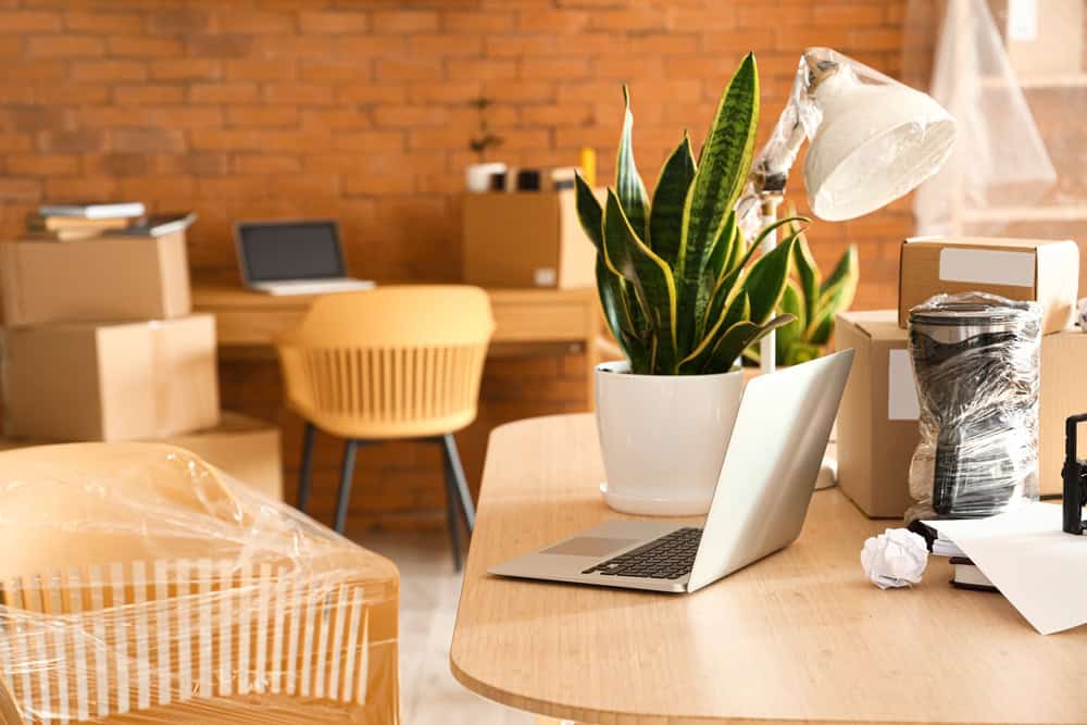 Office Moving in Suffolk County