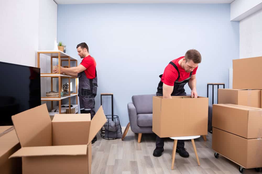 Two young movers in uniform picking and putting products in Long Island, NY.